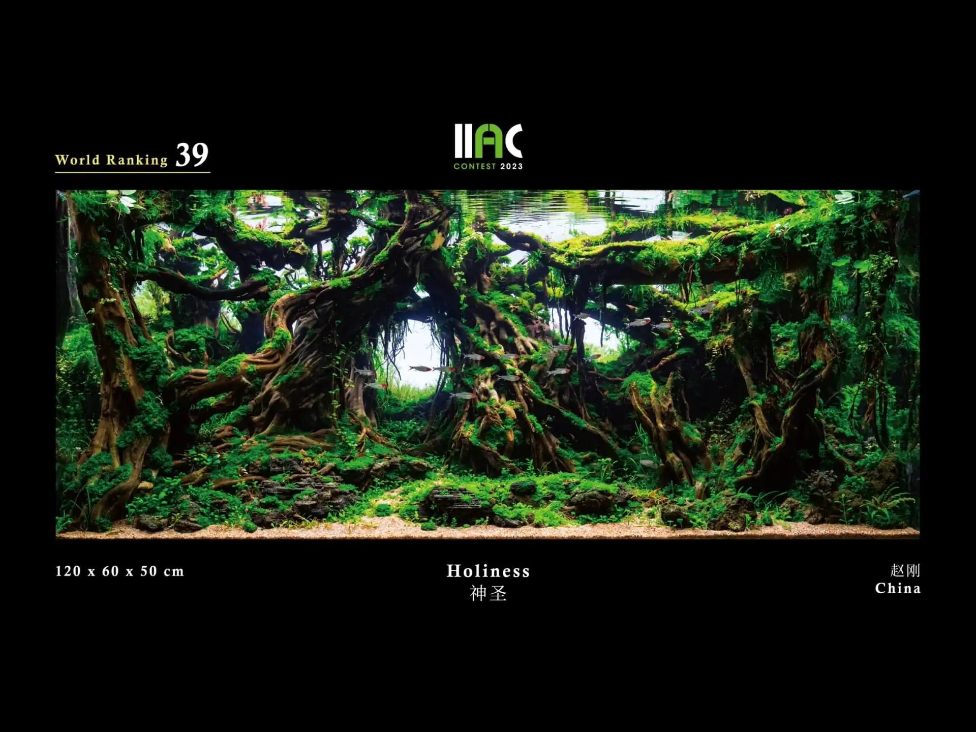 Holy Holiness - IIAC 2023 #39 Gang Zhao / China